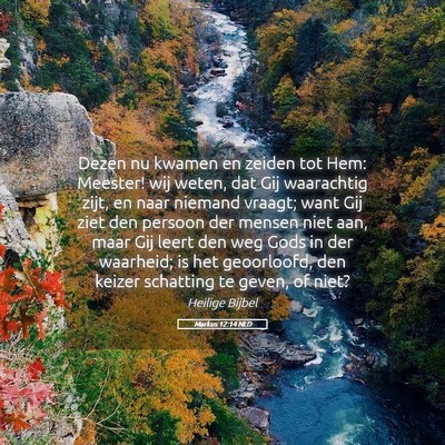 Picture 05 - Markus 12:14 NLD - Dezen nu kwamen en zeiden tot Hem: Meester! wij - Bible Verse Picture