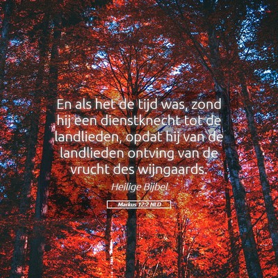 Picture 05 - Markus 12:2 NLD - En als het de tijd was, zond hij een dienstknecht - Bible Verse Picture
