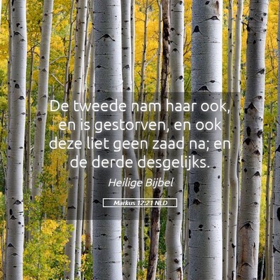 Picture 05 - Markus 12:21 NLD - De tweede nam haar ook, en is gestorven, en ook - Bible Verse Picture