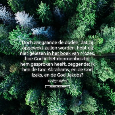 Picture 05 - Markus 12:26 NLD - Doch aangaande de doden, dat zij opgewekt zullen - Bible Verse Picture