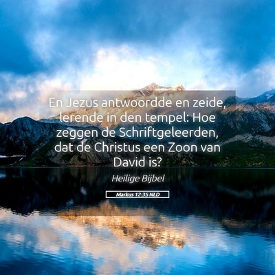 Picture 05 - Markus 12:35 NLD - En Jezus antwoordde en zeide, lerende in den - Bible Verse Picture
