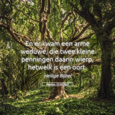 Picture 05 - Markus 12:42 NLD - En er kwam een arme weduwe, die twee kleine - Bible Verse Picture