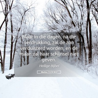 Picture 05 - Markus 13:24 NLD - Maar in die dagen, na die verdrukking, zal de zon - Bible Verse Picture