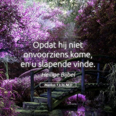 Picture 05 - Markus 13:36 NLD - Opdat hij niet onvoorziens kome, en u slapende - Bible Verse Picture