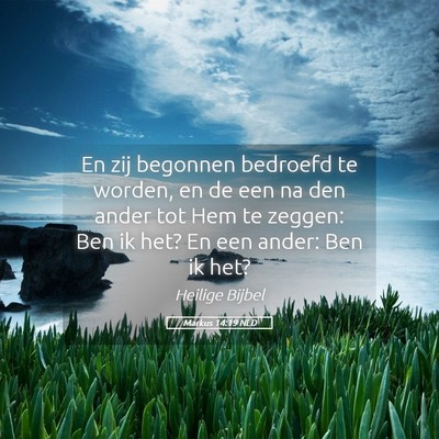 Picture 05 - Markus 14:19 NLD - En zij begonnen bedroefd te worden, en de een na - Bible Verse Picture