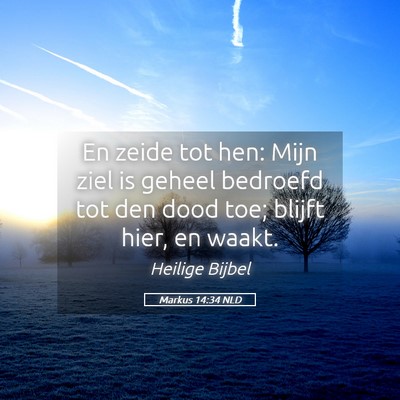 Picture 05 - Markus 14:34 NLD - En zeide tot hen: Mijn ziel is geheel bedroefd - Bible Verse Picture