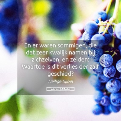 Picture 05 - Markus 14:4 NLD - En er waren sommigen, die dat zeer kwalijk namen - Bible Verse Picture