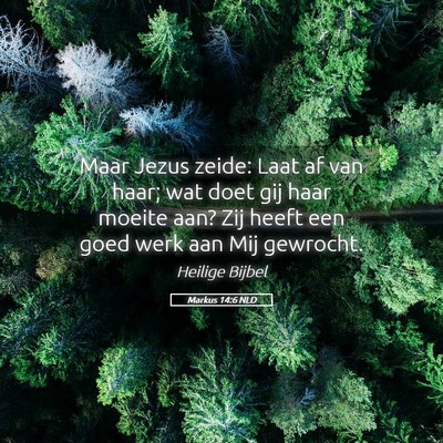 Picture 05 - Markus 14:6 NLD - Maar Jezus zeide: Laat af van haar; wat doet gij - Bible Verse Picture