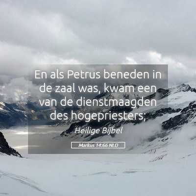 Picture 05 - Markus 14:66 NLD - En als Petrus beneden in de zaal was, kwam een - Bible Verse Picture