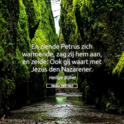 Picture 05 - Markus 14:67 NLD - En ziende Petrus zich warmende, zag zij hem aan, - Bible Verse Picture