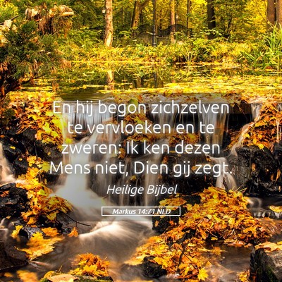 Picture 05 - Markus 14:71 NLD - En hij begon zichzelven te vervloeken en te - Bible Verse Picture