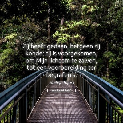 Picture 05 - Markus 14:8 NLD - Zij heeft gedaan, hetgeen zij konde; zij is - Bible Verse Picture