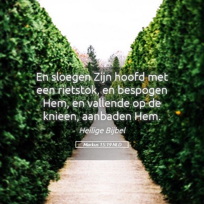 Picture 05 - Markus 15:19 NLD - En sloegen Zijn hoofd met een rietstok, en - Bible Verse Picture