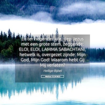 Picture 05 - Markus 15:34 NLD - En ter negender ure, riep Jezus met een grote - Bible Verse Picture