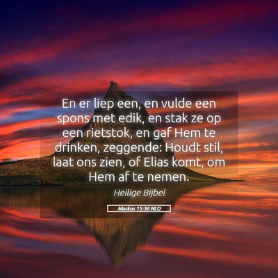 Picture 05 - Markus 15:36 NLD - En er liep een, en vulde een spons met edik, en - Bible Verse Picture