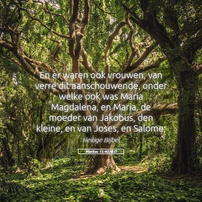 Picture 05 - Markus 15:40 NLD - En er waren ook vrouwen, van verre dit - Bible Verse Picture
