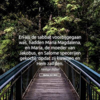 Picture 05 - Markus 16:1 NLD - En als de sabbat voorbijgegaan was, hadden Maria - Bible Verse Picture