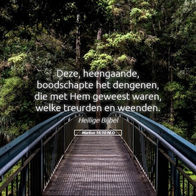 Picture 05 - Markus 16:10 NLD - Deze, heengaande, boodschapte het dengenen, die - Bible Verse Picture