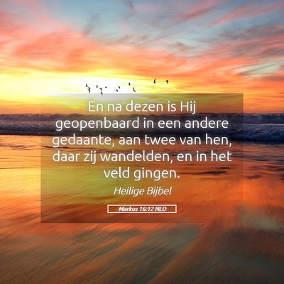 Picture 05 - Markus 16:12 NLD - En na dezen is Hij geopenbaard in een andere - Bible Verse Picture