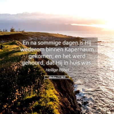 Picture 05 - Markus 2:1 NLD - En na sommige dagen is Hij wederom binnen - Bible Verse Picture