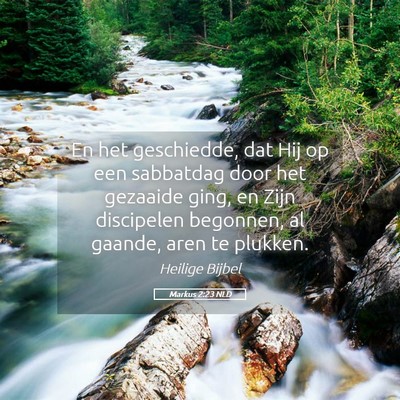 Picture 05 - Markus 2:23 NLD - En het geschiedde, dat Hij op een sabbatdag door - Bible Verse Picture