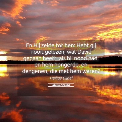 Picture 05 - Markus 2:25 NLD - En Hij zeide tot hen: Hebt gij nooit gelezen, wat - Bible Verse Picture