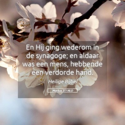 Picture 05 - Markus 3:1 NLD - En Hij ging wederom in de synagoge; en aldaar was - Bible Verse Picture