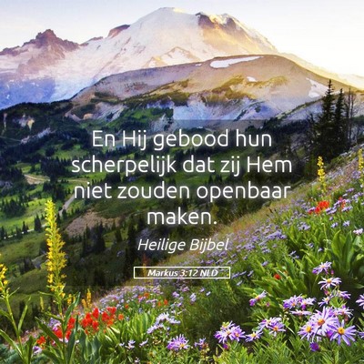 Picture 05 - Markus 3:12 NLD - En Hij gebood hun scherpelijk dat zij Hem niet - Bible Verse Picture
