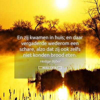 Picture 05 - Markus 3:20 NLD - En zij kwamen in huis; en daar vergaderde wederom - Bible Verse Picture