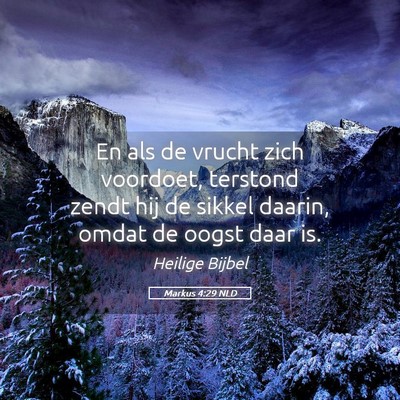 Picture 05 - Markus 4:29 NLD - En als de vrucht zich voordoet, terstond zendt - Bible Verse Picture