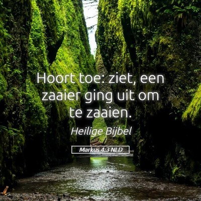 Picture 05 - Markus 4:3 NLD - Hoort toe: ziet, een zaaier ging uit om te - Bible Verse Picture