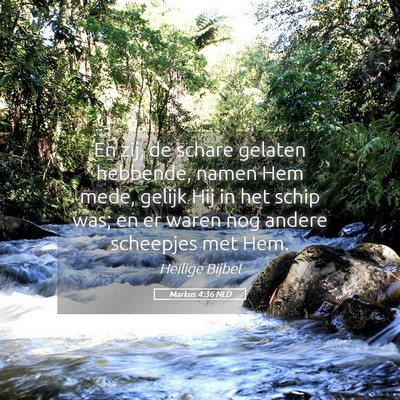 Picture 05 - Markus 4:36 NLD - En zij, de schare gelaten hebbende, namen Hem - Bible Verse Picture