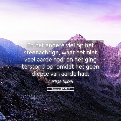 Picture 05 - Markus 4:5 NLD - En het andere viel op het steenachtige, waar het - Bible Verse Picture