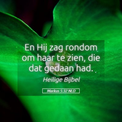 Picture 05 - Markus 5:32 NLD - En Hij zag rondom om haar te zien, die dat gedaan - Bible Verse Picture