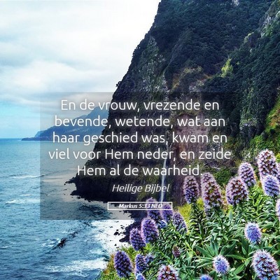 Picture 05 - Markus 5:33 NLD - En de vrouw, vrezende en bevende, wetende, wat - Bible Verse Picture