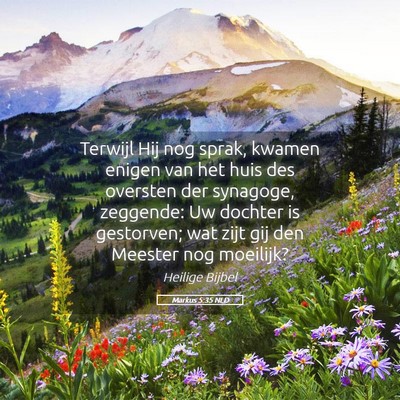Picture 05 - Markus 5:35 NLD - Terwijl Hij nog sprak, kwamen enigen van het huis - Bible Verse Picture