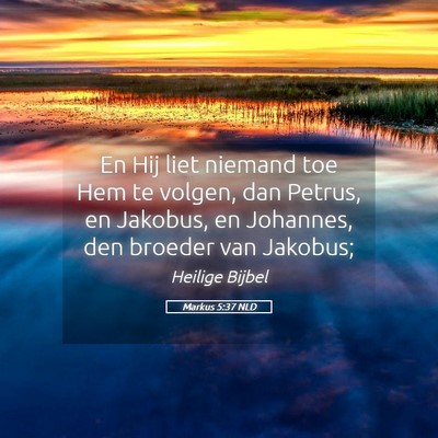 Picture 05 - Markus 5:37 NLD - En Hij liet niemand toe Hem te volgen, dan - Bible Verse Picture