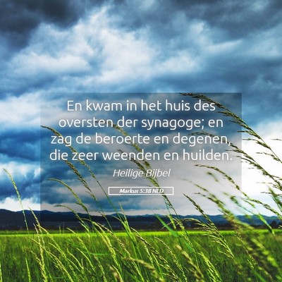 Picture 05 - Markus 5:38 NLD - En kwam in het huis des oversten der synagoge; en - Bible Verse Picture