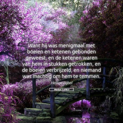 Picture 05 - Markus 5:4 NLD - Want hij was menigmaal met boeien en ketenen - Bible Verse Picture