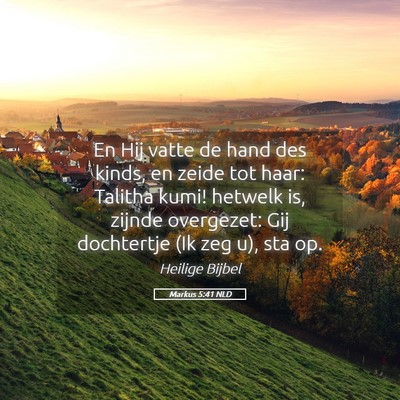 Picture 05 - Markus 5:41 NLD - En Hij vatte de hand des kinds, en zeide tot - Bible Verse Picture