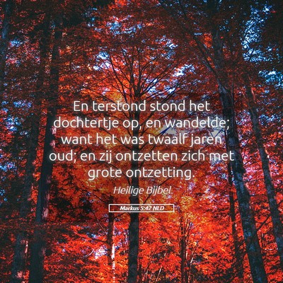 Picture 05 - Markus 5:42 NLD - En terstond stond het dochtertje op, en wandelde; - Bible Verse Picture