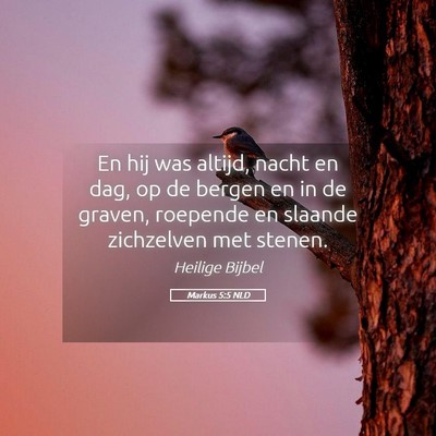 Picture 05 - Markus 5:5 NLD - En hij was altijd, nacht en dag, op de bergen en - Bible Verse Picture