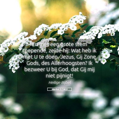 Picture 05 - Markus 5:7 NLD - En met een grote stem roepende, zeide hij: Wat - Bible Verse Picture