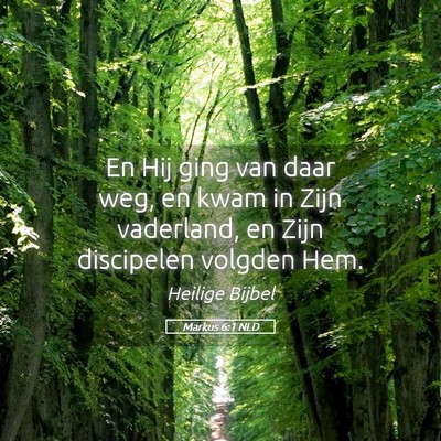 Picture 05 - Markus 6:1 NLD - En Hij ging van daar weg, en kwam in Zijn - Bible Verse Picture