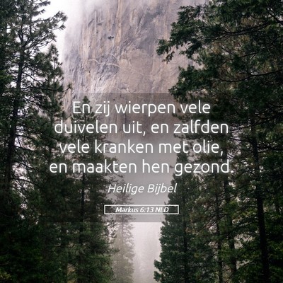 Picture 05 - Markus 6:13 NLD - En zij wierpen vele duivelen uit, en zalfden vele - Bible Verse Picture