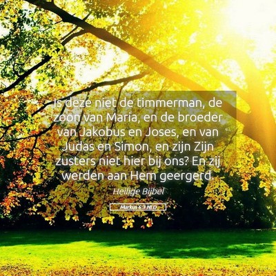 Picture 05 - Markus 6:3 NLD - Is deze niet de timmerman, de zoon van Maria, en - Bible Verse Picture