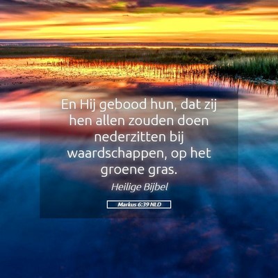 Picture 05 - Markus 6:39 NLD - En Hij gebood hun, dat zij hen allen zouden doen - Bible Verse Picture