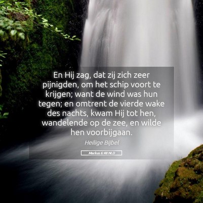 Picture 05 - Markus 6:48 NLD - En Hij zag, dat zij zich zeer pijnigden, om het - Bible Verse Picture