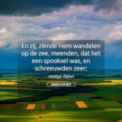 Picture 05 - Markus 6:49 NLD - En zij, ziende Hem wandelen op de zee, meenden, - Bible Verse Picture
