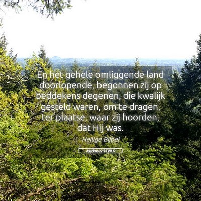 Picture 05 - Markus 6:55 NLD - En het gehele omliggende land doorlopende, - Bible Verse Picture